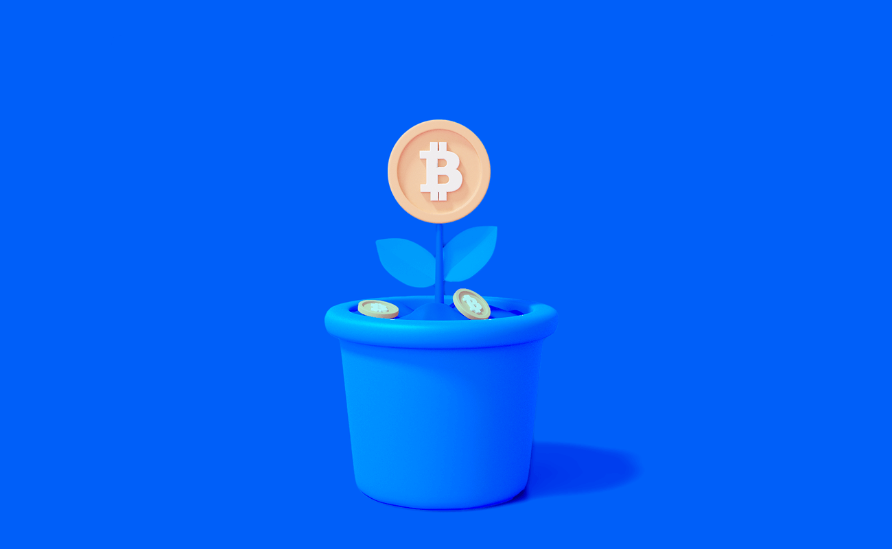 Behind the Scenes of IDO Crypto Lotteries