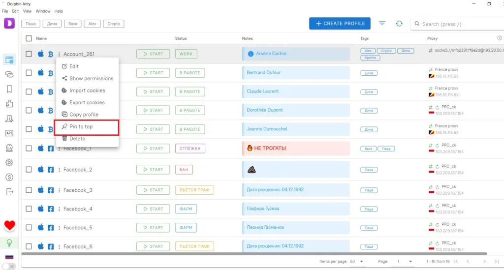 Dolphin Anty interface