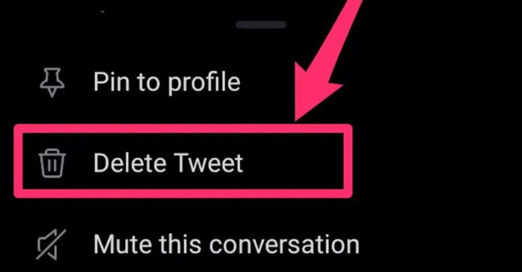 twiter shadow banning - Cach-xoa-mot-tweet-tren-ung-dung-Twitter-di-dong.jpg