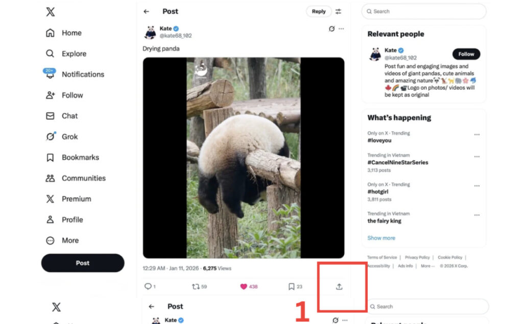 Tải video Twitter X và tải xống gif