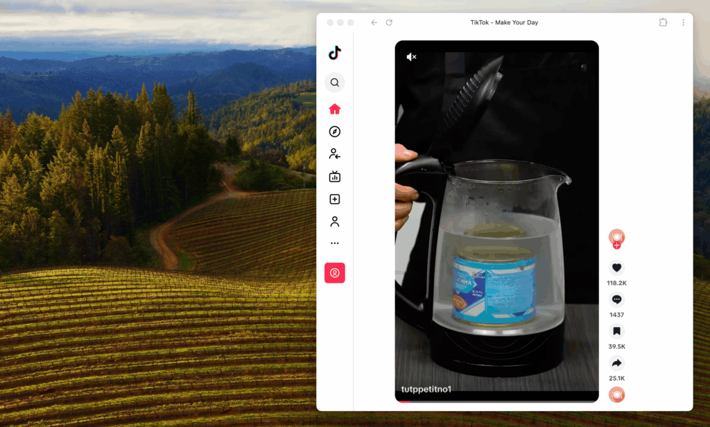 Удобный способ просмотра ТикТока через PWA