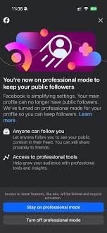 facebook professional mode