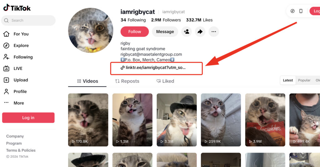 How to Add a Link on TikTok 2