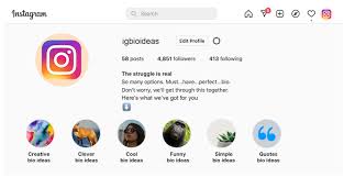 instagram bio