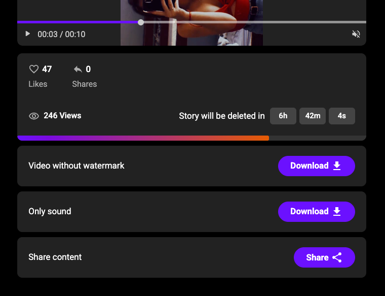 TikVib TikTok downloader showing a full Story set with the download button highlighted