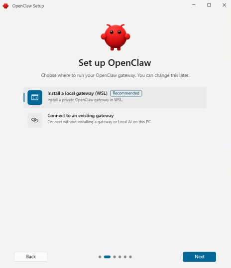 OpenClaw set up screen